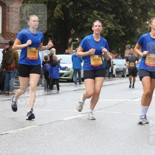 13.09.2026 - Kiel Lauf Markus Tischler http://msf.ph/oto/10364867 13.09.2026 12:01:51 Fleethörn 500, 39, 7269, 2556, 9506 meine-sportfotos.de