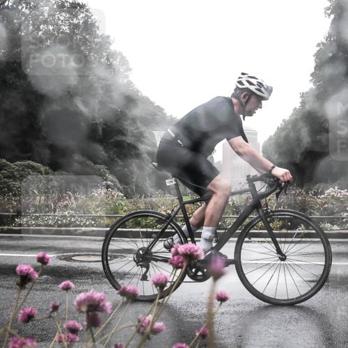 13.09.2026 - Stadtparktriathlon H.Heesch http://msf.ph/oto/10365030 13.09.2026 12:38:51 Radfahren 996, 1109, 1202, 1299 meine-sportfotos.de