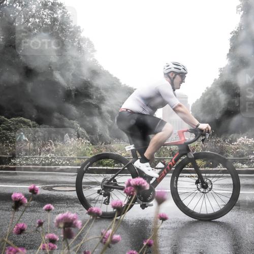 13.09.2026 - Stadtparktriathlon H.Heesch http://msf.ph/oto/10365099 13.09.2026 12:39:21 Radfahren 1114, 1156, 1189, 1231 meine-sportfotos.de