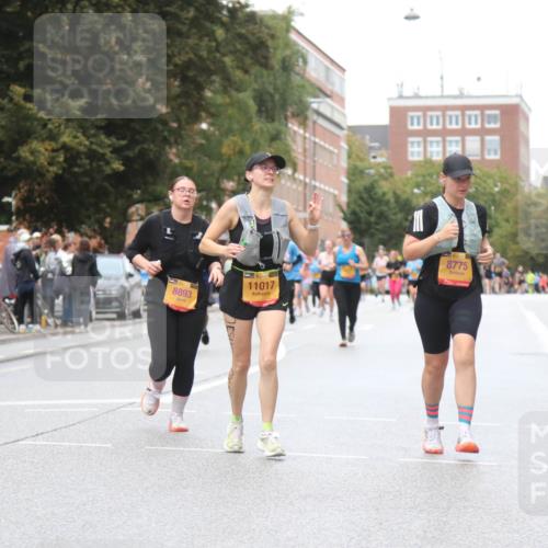 13.09.2026 - Kiel Lauf Markus Tischler http://msf.ph/oto/10365134 13.09.2026 12:02:39 Fleethörn 11017, 8775, 8893 meine-sportfotos.de