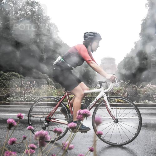 13.09.2026 - Stadtparktriathlon H.Heesch http://msf.ph/oto/10365200 13.09.2026 12:39:47 Radfahren 1263, 1268, 1272 meine-sportfotos.de