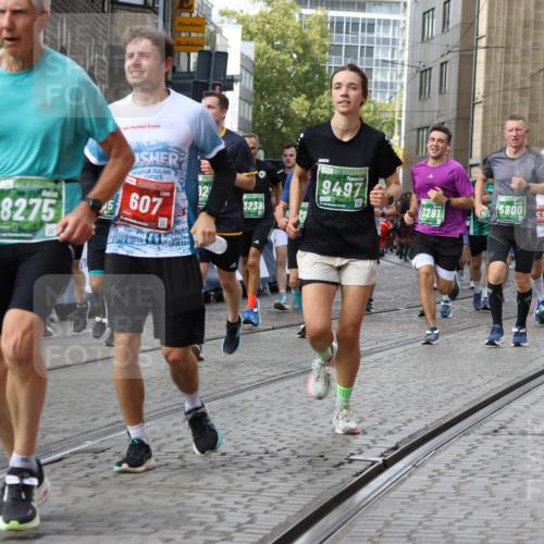 13.09.2026 - 21. swb-Marathon Bremen Strokosch-Dieckow http://msf.ph/oto/10369131 13.09.2026 13:36:06 Ziel 156, 318, 532, 607, 2565, 3056, 3087, 3226, 3485, 3704, 3780, 3857, 4048, 5026, 5071, 5157, 5308, 5381, 5467, 5468, 5584, 5586, 6159, 6465, 6466, 6644, 6649, 6724, 7036, 7235, 7385, 7597, 7675, 7691, 7700, 8145, 8335, 8705, 8816, 9784, 9862, 9892, 9912, 13121, 13213, 1072, 2339, 2931, 2949, 3224, 3291, 3591, 4643, 4989, 5259, 5800, 6642, 6778, 7379, 7865, 8488, 8511, 8731, 8941, 9026, 9076, 9226, 9497, 9564, 13038, 13238 meine-sportfotos.de