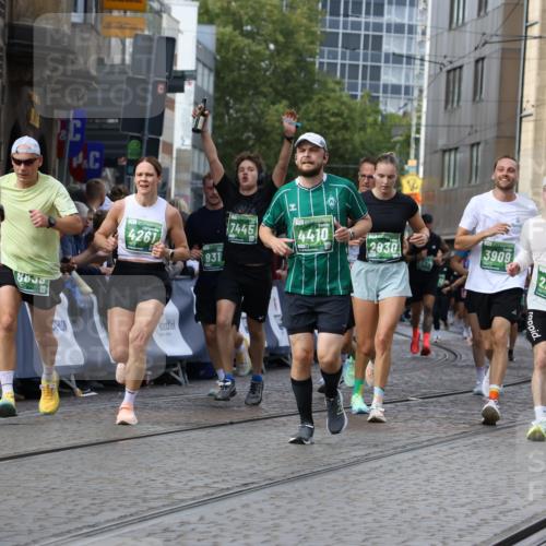 13.09.2026 - 21. swb-Marathon Bremen Strokosch-Dieckow http://msf.ph/oto/10372352 13.09.2026 13:36:55 Ziel 164, 372, 900, 1738, 1880, 1936, 2467, 2673, 2692, 2700, 2731, 2819, 2823, 3067, 3585, 3815, 4006, 4050, 4182, 4216, 4304, 4414, 4676, 4892, 5061, 5656, 5781, 6050, 6280, 6340, 6516, 6527, 6568, 7039, 7229, 7237, 7249, 7344, 7656, 7765, 7808, 8525, 8723, 8790, 8905, 9658, 9776, 9899, 10068, 10070, 950, 1285, 1849, 1854, 1991, 2241, 2531, 2930, 3122, 3732, 3787, 3894, 3909, 4261, 4410, 4448, 4932, 4947, 5547, 5577, 6046, 6056, 6431, 6629, 6961, 7006, 7046, 7398, 7445, 7937 meine-sportfotos.de