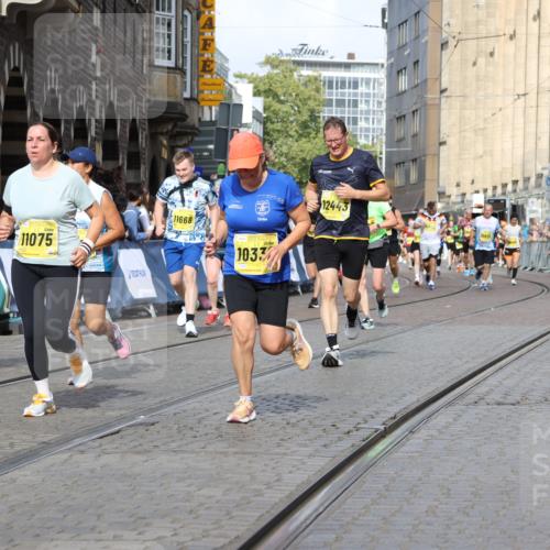 13.09.2026 - 21. swb-Marathon Bremen Strokosch-Dieckow http://msf.ph/oto/10373038 13.09.2026 11:01:50 Ziel 10181, 10251, 10497, 10560, 10647, 10648, 10678, 11305, 11324, 11459, 11467, 11550, 11551, 11666, 11788, 11796, 11798, 11969, 11970, 12047, 12062, 10257, 10409, 10444, 10500, 10617, 10803, 10817, 10924, 11115, 11268, 11436, 11859, 12016, 12095, 12145, 12360, 12412, 12466, 12506 meine-sportfotos.de