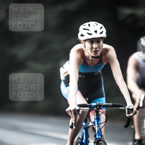 13.09.2026 - Stadtparktriathlon H.Heesch http://msf.ph/oto/10374691 13.09.2026 10:55:03 Radfahren 372, 381, 432, 473, 520, 557, 572, 666 meine-sportfotos.de