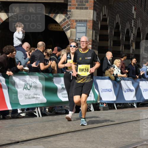 13.09.2026 - 21. swb-Marathon Bremen Strokosch-Dieckow http://msf.ph/oto/10376851 13.09.2026 11:03:15 Ziel 10185, 10296, 10633, 10715, 10731, 10783, 10945, 10954, 10955, 11095, 11096, 11107, 11313, 11564, 11697, 11701, 11719, 11730, 11785, 12071, 12247, 12421, 12432, 12448, 12465, 12483, 10092, 10187, 10237, 10309, 10724, 10904, 11598, 11773, 12068, 12184, 12185, 12611 meine-sportfotos.de