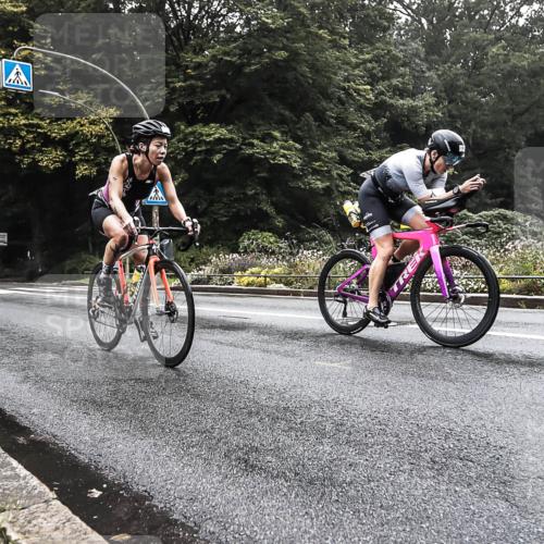 13.09.2026 - Stadtparktriathlon H.Heesch http://msf.ph/oto/10376997 13.09.2026 09:29:47 Radfahren 104, 117, 118, 161, 188, 201, 203 meine-sportfotos.de