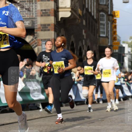 13.09.2026 - 21. swb-Marathon Bremen Strokosch-Dieckow http://msf.ph/oto/10384425 13.09.2026 11:06:30 Ziel 10204, 10375, 10376, 10662, 10681, 10682, 11029, 11156, 11460, 11674, 11690, 11775, 11786, 11849, 12479, 12486, 10323, 10654, 10795, 10849, 10989, 11021, 11240, 11370, 12146 meine-sportfotos.de