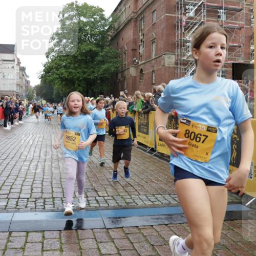 13.09.2026 - Kiel Lauf Yannick Fuchs http://msf.ph/oto/10405935 13.09.2026 08:58:06 Ziel 1462, 1791, 2908, 3567, 3891, 4025, 4995, 4999, 5005, 6350, 6984, 7026, 7031, 7574, 7576, 7812, 8674, 8675, 8682, 9085, 9097, 9372, 9490, 9582, 10350, 10427, 10566, 10757, 11142, 11144, 11638, 11673, 12216, 12357, 57, 160, 406, 689, 1051, 1520, 1714, 2326, 2439, 2964, 3020, 3359, 3375, 3691, 4182, 4185, 4321, 4382, 4383, 5006, 5093, 5219, 5244, 5666, 5733, 5762, 5765, 5895, 6056, 6459, 7058, 7547, 7604, 7608, 7609, 8668, 9062, 9324, 9579, 10876, 11356, 734 meine-sportfotos.de
