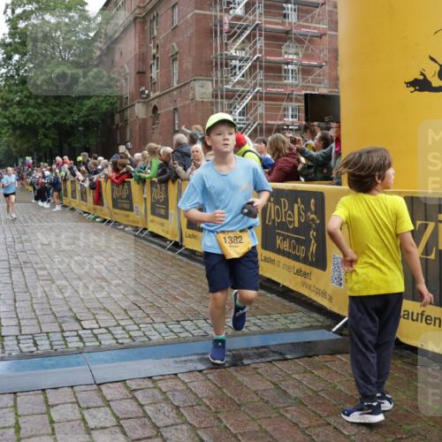 13.09.2026 - Kiel Lauf Yannick Fuchs http://msf.ph/oto/10405969 13.09.2026 08:58:09 Ziel 734, 1462, 1791, 2908, 3567, 3891, 4491, 4550, 4995, 4999, 5005, 6246, 6350, 6428, 6984, 7026, 7031, 7574, 7576, 7812, 9097, 9372, 9490, 9585, 9622, 10350, 10427, 10566, 10899, 11638, 11673, 12216, 12357, 57, 406, 689, 1051, 1520, 1714, 2326, 2439, 2964, 3020, 3359, 3375, 3691, 4025, 4182, 4185, 4321, 4382, 4383, 5093, 5219, 5244, 5666, 5733, 5762, 5765, 5895, 6056, 7058, 7547, 7604, 7608, 7609, 8668, 8674, 8675, 9324, 9579 meine-sportfotos.de