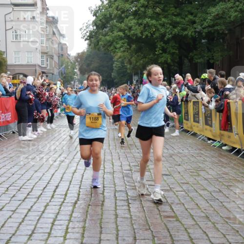 13.09.2026 - Kiel Lauf Yannick Fuchs http://msf.ph/oto/10405986 13.09.2026 08:58:12 Ziel 734, 1462, 2710, 2908, 3145, 3150, 3492, 3567, 4491, 4550, 4995, 4999, 5005, 6246, 6350, 6428, 6588, 6984, 7026, 7031, 7574, 7576, 7812, 9097, 9372, 9490, 9585, 9622, 9701, 10350, 10427, 10566, 10890, 10899, 11077, 11638, 11673, 12216, 12357, 57, 689, 1051, 1520, 1714, 1791, 2326, 2439, 2964, 3020, 3359, 3375, 3691, 3891, 4025, 4182, 4185, 4321, 4382, 4383, 5093, 5219, 5244, 5666, 5733, 5762, 5765, 5895, 6056, 6984, 7058, 7547, 7604, 7608, 7609, 8668, 8674, 8675, 9324 meine-sportfotos.de