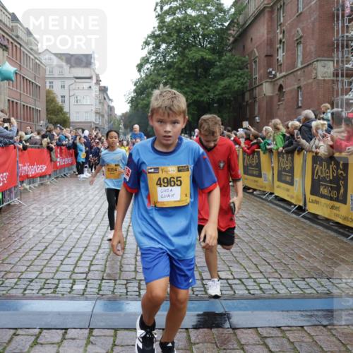 13.09.2026 - Kiel Lauf Yannick Fuchs http://msf.ph/oto/10406022 13.09.2026 08:58:16 Ziel 734, 1158, 2710, 2908, 3145, 3150, 3492, 3686, 4115, 4491, 4546, 4550, 4999, 5005, 6246, 6428, 6588, 7018, 7026, 7031, 7574, 7576, 8067, 9097, 9372, 9490, 9585, 9620, 9622, 9701, 10566, 10890, 10899, 10925, 11077, 11638, 11673, 12216, 12357, 57, 1462, 1520, 1791, 2326, 2964, 3020, 3359, 3375, 3567, 3691, 3891, 4025, 4182, 4185, 4321, 4995, 5093, 5219, 5244, 5666, 5733, 5895, 6056, 6350, 6984, 7058, 7574, 7604, 7608, 7609, 7812, 8668, 8674, 8675, 10566 meine-sportfotos.de
