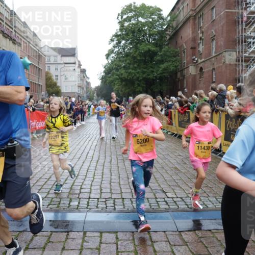 13.09.2026 - Kiel Lauf Yannick Fuchs http://msf.ph/oto/10406064 13.09.2026 08:58:21 Ziel 734, 1158, 1382, 2710, 3145, 3150, 3217, 3492, 3686, 4115, 4491, 4546, 4550, 4622, 6246, 6428, 6588, 7018, 8067, 9585, 9620, 9622, 9701, 9852, 10242, 10890, 10899, 10925, 11077, 11673, 57, 1462, 1791, 2326, 2908, 2964, 3020, 3567, 3691, 3891, 4025, 4185, 4995, 4999, 5005, 5093, 5666, 5895, 6056, 6350, 6984, 7026, 7031, 7058, 7574, 7576, 7604, 7812, 8668, 8674, 8675, 9097, 9372, 9490, 10566, 11638, 11673, 12216, 5536, 5537, 5895, 7058 meine-sportfotos.de