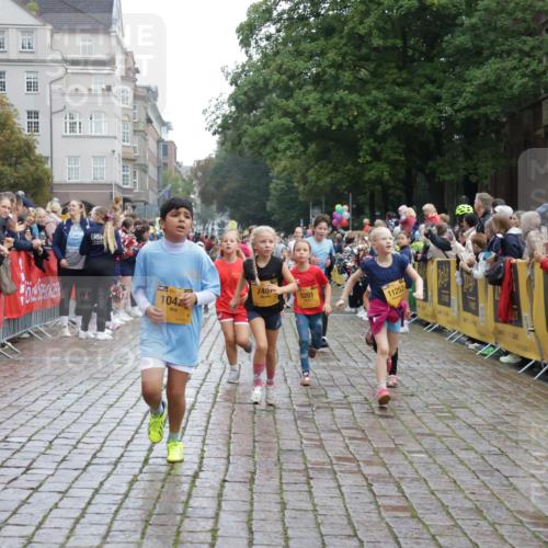 13.09.2026 - Kiel Lauf Yannick Fuchs http://msf.ph/oto/10406114 13.09.2026 08:58:25 Ziel 1158, 1188, 1382, 2710, 3145, 3150, 3217, 3492, 3686, 4115, 4546, 4622, 5908, 6588, 7018, 8067, 9620, 9701, 9852, 10242, 10890, 10925, 11077, 57, 734, 1462, 1791, 2326, 2710, 2908, 2964, 3020, 3567, 3891, 4025, 4185, 4491, 4550, 4995, 4999, 5005, 5093, 5666, 6056, 6246, 6350, 6428, 6984, 7026, 7031, 7574, 7576, 7812, 8674, 8675, 9097, 9372, 9490, 9585, 9622, 10566, 10899, 11638, 11673, 12216, 1348, 5201, 5536, 5537, 6573, 7407, 57, 3020, 5666, 5895, 7058 meine-sportfotos.de