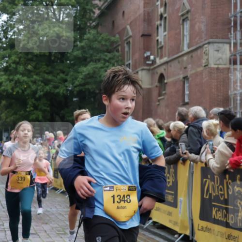 13.09.2026 - Kiel Lauf Yannick Fuchs http://msf.ph/oto/10406152 13.09.2026 08:58:29 Ziel 1158, 1188, 1382, 3217, 3686, 4115, 4546, 4622, 4965, 5908, 8067, 8354, 9620, 9852, 10242, 10925, 734, 1462, 1791, 2710, 2908, 2964, 3145, 3150, 3492, 3567, 3891, 4025, 4491, 4546, 4550, 4995, 4999, 5005, 6246, 6350, 6428, 6588, 6984, 7018, 7026, 7031, 7574, 7576, 7812, 8674, 8675, 9097, 9372, 9490, 9585, 9620, 9622, 9701, 10566, 10890, 10899, 11077, 11638, 11673, 12216, 27, 339, 1119, 1348, 5201, 5536, 5537, 6151, 6573, 7407, 57, 3020, 5666, 5895, 7058 meine-sportfotos.de