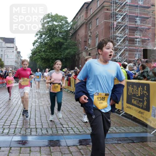 13.09.2026 - Kiel Lauf Yannick Fuchs http://msf.ph/oto/10406161 13.09.2026 08:58:29 Ziel 1158, 1188, 1382, 3217, 3686, 4115, 4546, 4622, 4965, 5908, 8067, 8354, 9620, 9852, 10242, 10925, 734, 1462, 1791, 2710, 2908, 2964, 3145, 3150, 3492, 3567, 3891, 4025, 4491, 4546, 4550, 4995, 4999, 5005, 6246, 6350, 6428, 6588, 6984, 7018, 7026, 7031, 7574, 7576, 7812, 8674, 8675, 9097, 9372, 9490, 9585, 9620, 9622, 9701, 10566, 10890, 10899, 11077, 11638, 11673, 12216, 27, 339, 1119, 1348, 5201, 5536, 5537, 6151, 6573, 7407, 57, 3020, 5666, 5895, 7058 meine-sportfotos.de