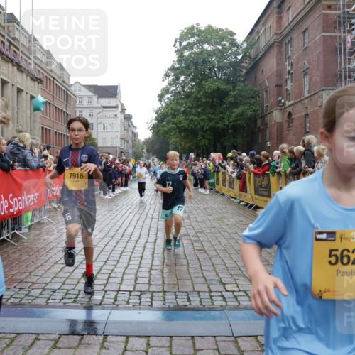 13.09.2026 - Kiel Lauf Yannick Fuchs http://msf.ph/oto/10406322 13.09.2026 08:58:46 Ziel 27, 339, 1119, 1348, 2100, 3242, 5092, 5200, 5201, 5536, 5537, 6151, 6573, 7022, 7407, 9773, 10211, 10821, 11252, 11386, 11430, 11783, 11924, 12297, 12517, 515, 734, 1158, 1188, 1382, 2100, 2710, 3145, 3150, 3217, 3492, 3686, 4115, 4491, 4546, 4550, 4622, 4965, 5908, 6246, 6428, 6588, 7018, 7022, 8067, 8354, 9585, 9620, 9622, 9701, 9852, 10242, 10890, 10899, 10925, 11077, 11673, 512, 1848, 2725, 4026, 5106, 5629, 6883, 6896, 7028, 7223, 7739, 7916, 8944, 734 meine-sportfotos.de