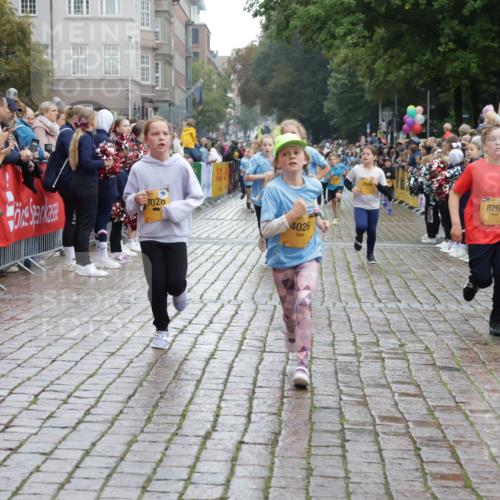 13.09.2026 - Kiel Lauf Yannick Fuchs http://msf.ph/oto/10406343 13.09.2026 08:58:47 Ziel 27, 339, 1119, 1348, 3242, 5092, 5200, 5201, 5536, 5537, 6151, 6573, 7407, 9773, 10211, 10821, 11252, 11386, 11430, 11783, 11924, 12297, 12517, 515, 734, 1158, 1188, 1382, 2100, 2710, 3145, 3150, 3217, 3492, 3686, 4115, 4491, 4546, 4550, 4622, 4965, 5092, 5200, 5908, 6246, 6428, 6588, 7018, 7022, 8067, 8354, 9585, 9620, 9622, 9701, 9852, 10242, 10890, 10899, 10925, 11077, 11430, 512, 1848, 2725, 4026, 5106, 5629, 6883, 6896, 7028, 7223, 7739, 7916, 8261, 8944, 734, 2710 meine-sportfotos.de