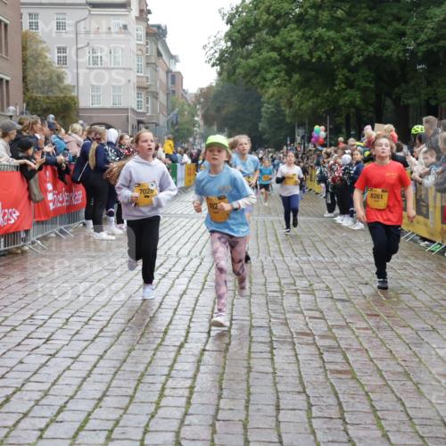 13.09.2026 - Kiel Lauf Yannick Fuchs http://msf.ph/oto/10406348 13.09.2026 08:58:48 Ziel 27, 339, 1119, 1348, 3242, 5201, 5536, 5537, 6151, 6573, 7407, 9773, 10211, 10292, 10821, 11252, 11386, 11783, 11924, 12297, 12517, 515, 734, 1158, 1188, 1382, 2100, 2710, 3145, 3150, 3217, 3492, 3686, 4115, 4546, 4550, 4622, 4965, 5092, 5200, 5908, 6588, 7018, 7022, 8067, 8354, 9620, 9622, 9701, 9852, 10242, 10890, 10899, 10925, 11077, 11430, 11783, 118, 512, 1848, 2725, 4026, 5106, 5629, 6883, 6896, 7028, 7223, 7739, 7916, 8261, 8944, 9215, 734, 2710, 3145, 3150 meine-sportfotos.de