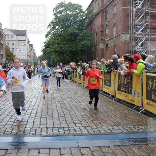 13.09.2026 - Kiel Lauf Yannick Fuchs http://msf.ph/oto/10406364 13.09.2026 08:58:49 Ziel 27, 339, 1119, 1348, 3242, 5201, 5536, 5537, 6151, 6573, 6896, 7407, 9773, 10211, 10292, 10821, 11252, 11386, 11924, 12297, 12517, 515, 734, 1158, 1188, 1382, 2100, 2710, 3145, 3150, 3217, 3492, 3686, 4115, 4546, 4550, 4622, 4965, 5092, 5200, 5908, 6588, 7018, 7022, 8067, 8354, 9620, 9701, 9852, 10242, 10890, 10899, 10925, 11077, 11430, 11783, 118, 512, 1848, 2725, 4026, 5106, 5629, 6883, 7028, 7223, 7739, 7916, 8261, 8944, 9215, 734, 2710, 3145, 3150, 3492 meine-sportfotos.de