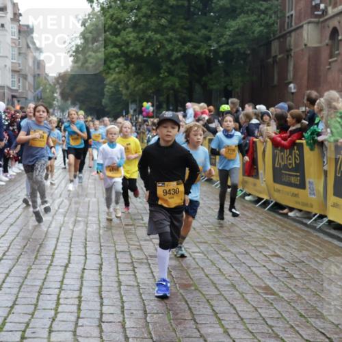 13.09.2026 - Kiel Lauf Yannick Fuchs http://msf.ph/oto/10406431 13.09.2026 08:58:57 Ziel 1119, 2725, 3242, 5106, 5629, 6151, 6883, 6896, 7223, 7739, 7916, 8944, 10211, 10292, 10334, 10821, 11201, 11386, 11924, 12517, 27, 339, 515, 1188, 1348, 1382, 2100, 3217, 4622, 4965, 5092, 5200, 5201, 5536, 5537, 5908, 6573, 7022, 7407, 8354, 9773, 9852, 10242, 11252, 11430, 11783, 12297, 12517, 118, 512, 1848, 3543, 3666, 3767, 4026, 4064, 4164, 4444, 6480, 6816, 7028, 7706, 8261, 9215, 9430, 1158, 1382, 2710, 3145, 3150, 3217, 3492, 3686, 4115, 4546, 4622 meine-sportfotos.de