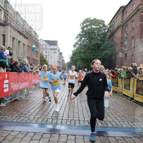 13.09.2026 - Kiel Lauf Yannick Fuchs http://msf.ph/oto/10406510 13.09.2026 08:59:02 Ziel 512, 1848, 2725, 4026, 5106, 5629, 6883, 6896, 7028, 7223, 7739, 7916, 8261, 8944, 10292, 10334, 11201, 11575, 27, 339, 515, 1119, 1188, 1348, 2100, 3242, 4965, 5092, 5200, 5201, 5536, 5537, 5908, 6151, 6573, 7022, 7407, 8354, 9773, 10211, 10821, 11252, 11386, 11430, 11783, 11924, 12297, 12517, 118, 3543, 3666, 3767, 3803, 3958, 4064, 4164, 4426, 4444, 5590, 6480, 6816, 7337, 7371, 7401, 7706, 9215, 9293, 9430, 1158, 1382, 3217, 3686, 4115, 4622 meine-sportfotos.de