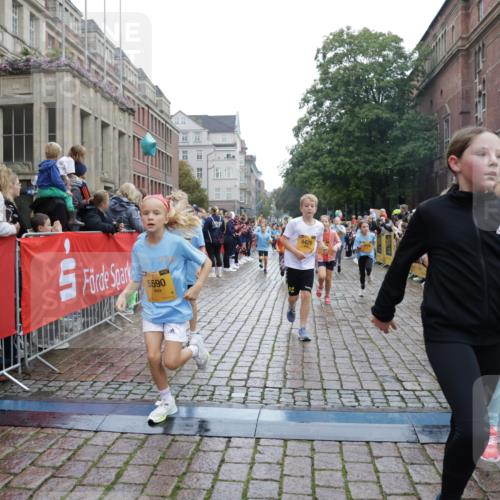 13.09.2026 - Kiel Lauf Yannick Fuchs http://msf.ph/oto/10406516 13.09.2026 08:59:03 Ziel 118, 512, 1848, 2725, 4026, 5106, 5629, 6883, 6896, 7028, 7223, 7739, 7916, 8261, 8944, 9215, 10292, 10334, 11201, 11575, 27, 339, 515, 1119, 1188, 1348, 2100, 3242, 4965, 5092, 5200, 5201, 5536, 5537, 5908, 6151, 6573, 7022, 7407, 8354, 9773, 10211, 10292, 10821, 11252, 11386, 11430, 11783, 11924, 12297, 12517, 3543, 3666, 3767, 3803, 3958, 4064, 4164, 4426, 4444, 5131, 5590, 6480, 6816, 7337, 7371, 7401, 7706, 9293, 9430, 1382, 3217, 3686, 4622 meine-sportfotos.de