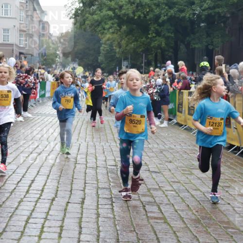 13.09.2026 - Kiel Lauf Yannick Fuchs http://msf.ph/oto/10406986 13.09.2026 08:59:53 Ziel 28, 533, 621, 1871, 2789, 2906, 2962, 3545, 3568, 3865, 3867, 6271, 7919, 8673, 9036, 9939, 12298, 125, 579, 621, 1413, 1549, 1792, 2342, 2906, 3165, 3537, 3803, 3890, 3958, 4426, 4481, 4498, 4886, 5016, 5131, 5590, 6943, 6944, 7320, 7337, 7371, 7396, 7401, 7919, 7981, 8069, 8153, 8530, 8932, 9151, 9293, 9358, 9370, 9394, 10665, 10723, 11189, 11364, 11395, 11570, 11617, 11980, 12004, 12329, 12383, 12586, 783, 1538, 4001, 4793, 7746, 9003, 9421, 9520, 10083, 3543 meine-sportfotos.de