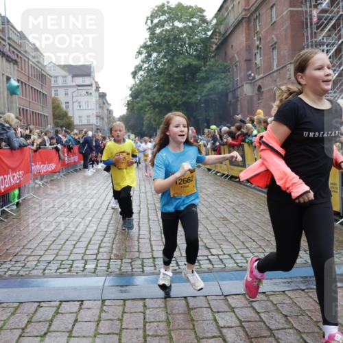 13.09.2026 - Kiel Lauf Yannick Fuchs http://msf.ph/oto/10407065 13.09.2026 09:00:00 Ziel 780, 1871, 2789, 2918, 3545, 3568, 6271, 7624, 7746, 8692, 12371, 28, 125, 533, 579, 621, 1413, 1549, 1792, 2342, 2906, 2962, 3165, 3537, 3865, 3867, 3890, 4481, 4498, 4886, 5016, 6943, 6944, 7320, 7396, 7919, 7981, 8153, 8530, 8673, 8932, 9036, 9151, 9358, 9370, 9394, 9939, 10665, 10723, 11189, 11364, 11570, 11980, 12298, 12329, 12586, 65, 783, 1538, 2513, 3549, 4001, 4661, 4793, 4821, 6258, 6606, 9003, 9421, 9520, 10083, 10592, 12662, 125, 1413 meine-sportfotos.de