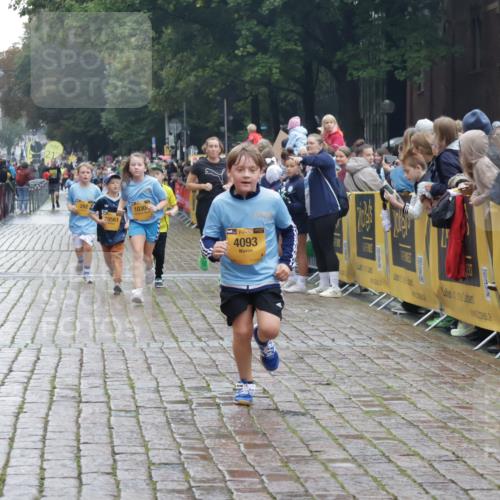 13.09.2026 - Kiel Lauf Yannick Fuchs http://msf.ph/oto/10407219 13.09.2026 09:00:12 Ziel 65, 783, 1538, 4001, 4661, 4793, 4821, 7746, 9003, 9421, 9520, 10083, 10223, 12137, 12371, 12662, 28, 533, 621, 780, 1871, 2789, 2906, 2918, 2962, 3545, 3568, 3865, 3867, 6271, 7624, 7746, 7919, 8673, 8692, 8932, 9036, 9151, 9939, 11980, 12298, 12329, 12371, 897, 1284, 2513, 2894, 3549, 4093, 6258, 6487, 6606, 6808, 10592, 11727, 12051, 579, 1549, 2342, 3537, 3890, 4481, 8530, 8932, 9151, 9370, 9394, 11364, 11570, 11980, 12329, 12586 meine-sportfotos.de