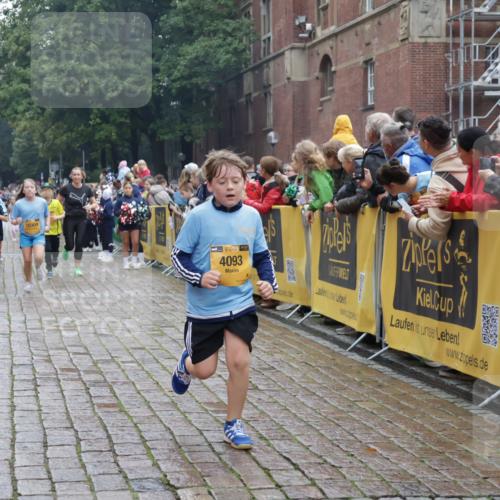 13.09.2026 - Kiel Lauf Yannick Fuchs http://msf.ph/oto/10407239 13.09.2026 09:00:13 Ziel 65, 783, 1538, 2513, 4001, 4661, 4793, 4821, 9003, 9421, 9520, 10083, 10223, 12137, 12662, 28, 533, 621, 780, 1871, 2789, 2906, 2918, 2962, 3545, 3568, 3865, 3867, 6271, 7624, 7746, 7919, 8673, 8692, 8932, 9036, 9151, 9939, 11980, 12298, 12329, 12371, 897, 1284, 2894, 3549, 4093, 6258, 6487, 6606, 6808, 10304, 10592, 11727, 12051, 579, 3537, 3890, 4481, 8530, 8932, 9151, 9370, 9394, 11364, 11570, 11980, 12329, 12586 meine-sportfotos.de