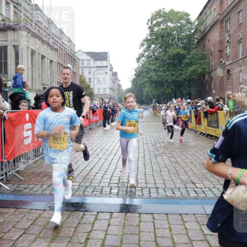 13.09.2026 - Kiel Lauf Yannick Fuchs http://msf.ph/oto/10407382 13.09.2026 09:00:35 Ziel 282, 897, 1446, 3268, 4093, 6487, 10304, 10561, 10562, 65, 780, 783, 897, 1284, 1538, 2513, 2894, 2918, 3549, 4001, 4661, 4793, 4821, 6258, 6487, 6606, 6808, 7624, 7746, 8692, 9003, 9421, 9520, 10083, 10223, 10592, 11727, 12051, 12137, 12371, 12662, 3135, 3611, 6561, 7487, 7991, 10636, 11425, 780, 1871, 2789, 2918, 3545, 3568, 6271, 7624, 7746, 8692, 12371 meine-sportfotos.de
