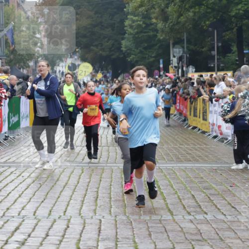 13.09.2026 - Kiel Lauf Yannick Fuchs http://msf.ph/oto/10407470 13.09.2026 09:00:49 Ziel 3135, 3268, 3611, 7487, 7991, 10636, 11425, 65, 282, 897, 1284, 1446, 2513, 2894, 3268, 3549, 4093, 4661, 4821, 6258, 6487, 6606, 6808, 10304, 10561, 10562, 10592, 11727, 12051, 12662, 6561, 9503, 12506, 65, 783, 1538, 4661, 4793, 4821, 9003, 9421, 9520, 10223, 12137, 12662 meine-sportfotos.de