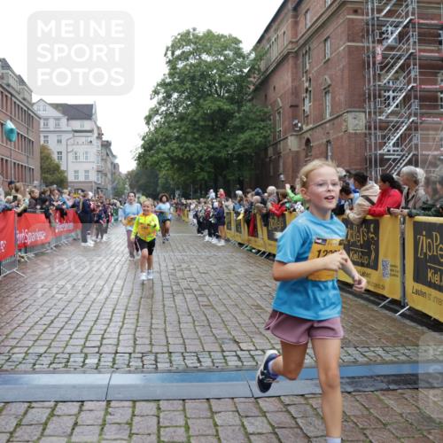 13.09.2026 - Kiel Lauf Yannick Fuchs http://msf.ph/oto/10407676 13.09.2026 09:01:16 Ziel 300, 1662, 1794, 2553, 7613, 7982, 8614, 8691, 3135, 3611, 6561, 7487, 7991, 9503, 10636, 11425, 12506, 3362, 3578, 4784, 6257, 11562, 11901, 12296, 12436, 282, 1446, 3268, 10561, 10562 meine-sportfotos.de