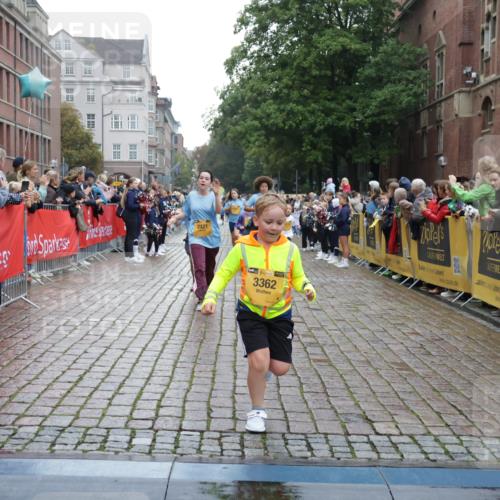 13.09.2026 - Kiel Lauf Yannick Fuchs http://msf.ph/oto/10407678 13.09.2026 09:01:18 Ziel 300, 1662, 1794, 2553, 7613, 7982, 8614, 8691, 11562, 11901, 12436, 3135, 3611, 6561, 7487, 7991, 9503, 10636, 11425, 12506, 3362, 3578, 4415, 4784, 6257, 7210, 11772, 12296, 12626, 282, 1446, 3268 meine-sportfotos.de