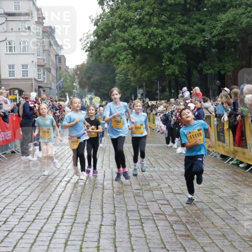 13.09.2026 - Kiel Lauf Yannick Fuchs http://msf.ph/oto/10407821 13.09.2026 09:01:36 Ziel 2321, 3362, 3578, 4415, 4784, 6257, 6315, 7210, 9287, 11772, 12296, 12626, 300, 1662, 1794, 2553, 7613, 7982, 8614, 8691, 11562, 11901, 12436, 1353, 1355, 1959, 2568, 3592, 7062, 9285, 9615, 11119, 12539, 6561, 9503, 12506 meine-sportfotos.de