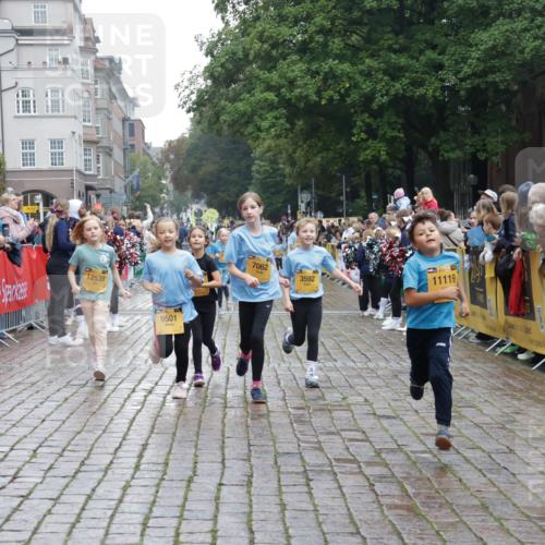 13.09.2026 - Kiel Lauf Yannick Fuchs http://msf.ph/oto/10407825 13.09.2026 09:01:36 Ziel 2321, 3362, 3578, 4415, 4784, 6257, 6315, 7210, 9287, 11772, 12296, 12626, 300, 1662, 1794, 2553, 7613, 7982, 8614, 8691, 11562, 11901, 12436, 1353, 1355, 1959, 2568, 3592, 7062, 9285, 9615, 11119, 12539, 6561, 9503, 12506 meine-sportfotos.de