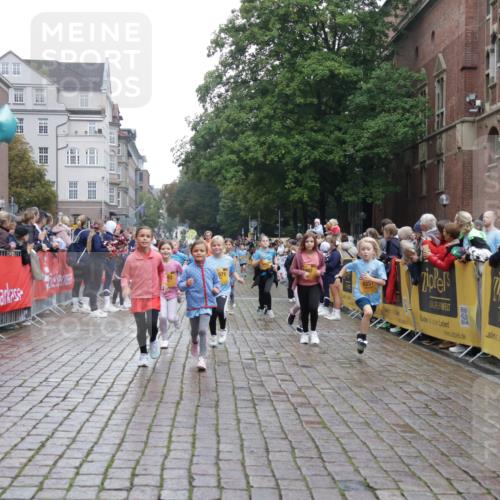 13.09.2026 - Kiel Lauf Yannick Fuchs http://msf.ph/oto/10408024 13.09.2026 09:01:57 Ziel 2916, 3592, 5577, 7062, 9501, 9615, 11119, 11578, 12321, 12539, 1353, 1355, 1959, 2321, 2568, 3362, 3578, 4415, 4784, 6257, 6315, 7210, 9285, 9287, 11562, 11772, 11901, 12296, 12436, 12626, 911, 1992, 3250, 3405, 3406, 5271, 5482, 6062, 6251, 6562, 6672, 8183, 10324, 10336, 11571, 12211, 12446, 300, 1794, 2553, 7613, 8614, 8691, 11562, 11901, 12436 meine-sportfotos.de
