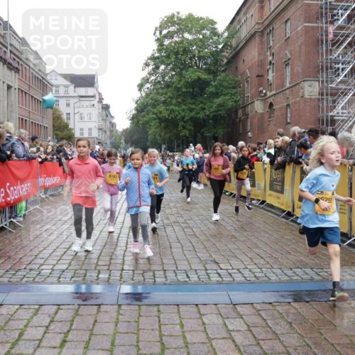13.09.2026 - Kiel Lauf Yannick Fuchs http://msf.ph/oto/10408035 13.09.2026 09:01:58 Ziel 2916, 3592, 5577, 7062, 9501, 9615, 11119, 11578, 12211, 12321, 12539, 1353, 1355, 1959, 2321, 2568, 3362, 3578, 4415, 4784, 6257, 6315, 7210, 9285, 9287, 9615, 11562, 11772, 11901, 12296, 12436, 12626, 911, 1992, 3250, 3405, 3406, 5271, 5482, 6062, 6251, 6485, 6562, 6672, 8183, 10288, 10324, 10336, 11571, 12446, 300, 1794, 2553, 7613, 8614, 8691, 11562, 11901, 12436 meine-sportfotos.de