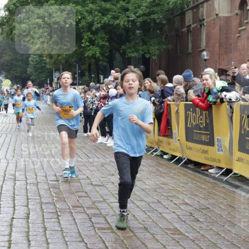 13.09.2026 - Kiel Lauf Yannick Fuchs http://msf.ph/oto/10408154 13.09.2026 09:02:08 Ziel 911, 2916, 5271, 5577, 6062, 6562, 10324, 10336, 11578, 12211, 12321, 12446, 1353, 1355, 1959, 2321, 2568, 2916, 3362, 3592, 4415, 6315, 7062, 7210, 9285, 9287, 9501, 9615, 11119, 11772, 12539, 12626, 1992, 2635, 3250, 3405, 3406, 4337, 5482, 6251, 6485, 6672, 6749, 7853, 8183, 8419, 10288, 11571, 3362, 3578, 4784, 6257, 12296 meine-sportfotos.de