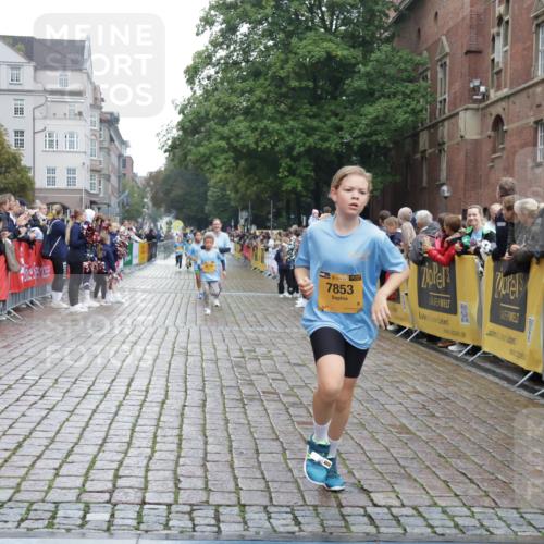 13.09.2026 - Kiel Lauf Yannick Fuchs http://msf.ph/oto/10408165 13.09.2026 09:02:10 Ziel 911, 3405, 5271, 5577, 6062, 6251, 6562, 10324, 10336, 11578, 12211, 12446, 1353, 1355, 1959, 2321, 2568, 2916, 3362, 3592, 4415, 6315, 7062, 7210, 9285, 9287, 9501, 9615, 11119, 11772, 12321, 12539, 12626, 1992, 2635, 3250, 3406, 4337, 5482, 6485, 6672, 6749, 7853, 8183, 8419, 10288, 11571, 3362, 4415, 7210, 11772, 12296, 12626 meine-sportfotos.de
