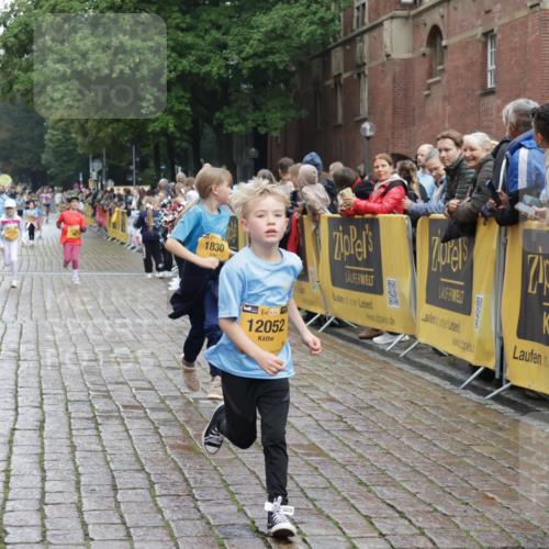 13.09.2026 - Kiel Lauf Yannick Fuchs http://msf.ph/oto/10408286 13.09.2026 09:02:33 Ziel 963, 4337, 5618, 6853, 7853, 9119, 9212, 12270, 911, 1992, 2635, 2916, 3250, 3405, 3406, 5271, 5482, 5577, 6062, 6251, 6485, 6562, 6672, 6749, 8183, 8419, 10288, 10324, 10336, 11571, 11578, 12211, 12321, 12446, 1830, 1870, 5983, 12052, 2916, 3592, 5577, 7062, 9501, 11119, 11578, 12321, 12539 meine-sportfotos.de