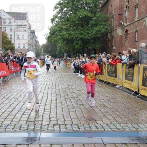 13.09.2026 - Kiel Lauf Yannick Fuchs http://msf.ph/oto/10408306 13.09.2026 09:02:39 Ziel 963, 5618, 5983, 6853, 9119, 9212, 12270, 911, 1992, 2635, 3250, 3405, 3406, 4337, 5271, 5482, 6062, 6251, 6485, 6562, 6672, 6749, 7853, 8183, 8419, 10288, 10324, 10336, 11571, 12446, 1175, 1830, 1870, 2739, 12052, 911, 2916, 5577, 6062, 6562, 9501, 11578, 12211, 12321 meine-sportfotos.de