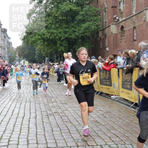 13.09.2026 - Kiel Lauf Yannick Fuchs http://msf.ph/oto/10408411 13.09.2026 09:03:00 Ziel 1175, 1830, 2178, 2739, 12052, 963, 1870, 4337, 5618, 5983, 6853, 7853, 9119, 9212, 12052, 12270, 2372, 7020, 8013, 8789, 8924, 11932, 2635, 4337, 6485, 6749, 7853, 8419, 10288 meine-sportfotos.de