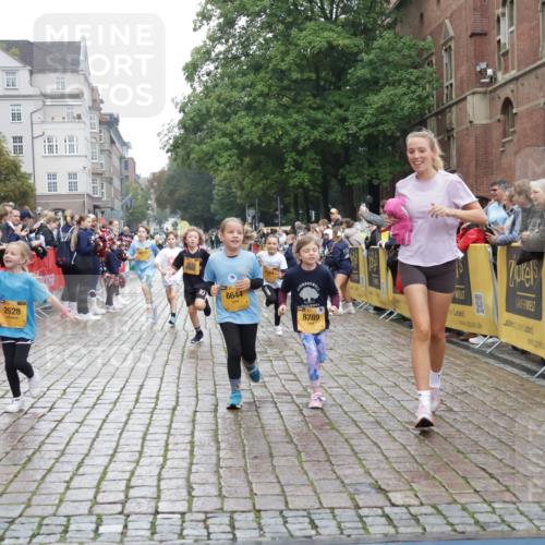 13.09.2026 - Kiel Lauf Yannick Fuchs http://msf.ph/oto/10408419 13.09.2026 09:03:03 Ziel 1175, 2178, 2739, 963, 1830, 1870, 5618, 5983, 6853, 9119, 9212, 12052, 12270, 2372, 2528, 5854, 6644, 7020, 7564, 8013, 8616, 8789, 8924, 11932, 4337, 6749, 7853, 8419, 9119 meine-sportfotos.de