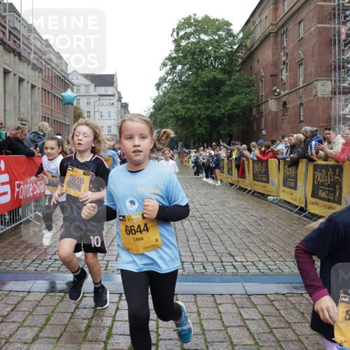 13.09.2026 - Kiel Lauf Yannick Fuchs http://msf.ph/oto/10408439 13.09.2026 09:03:05 Ziel 1175, 2178, 2739, 963, 1830, 1870, 5618, 5983, 6853, 9119, 9212, 12052, 12270, 2372, 2528, 5854, 6644, 7020, 7564, 8013, 8613, 8616, 8789, 8924, 11932, 963, 4337, 7853, 9119 meine-sportfotos.de