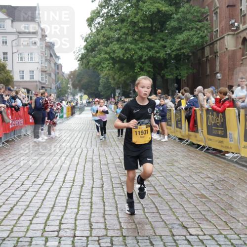13.09.2026 - Kiel Lauf Yannick Fuchs http://msf.ph/oto/10408466 13.09.2026 09:03:11 Ziel 2178, 2372, 8013, 11932, 1175, 1830, 1870, 2739, 5983, 6853, 12052, 12270, 2528, 5854, 6644, 7020, 7564, 8613, 8616, 8789, 8924, 11931, 963, 5618, 6853, 9119, 9212, 12270 meine-sportfotos.de