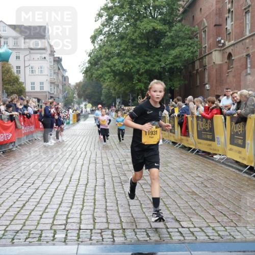 13.09.2026 - Kiel Lauf Yannick Fuchs http://msf.ph/oto/10408469 13.09.2026 09:03:11 Ziel 2178, 2372, 8013, 11932, 1175, 1830, 1870, 2739, 5983, 6853, 12052, 12270, 2528, 5854, 6644, 7020, 7564, 8613, 8616, 8789, 8924, 11931, 963, 5618, 6853, 9119, 9212, 12270 meine-sportfotos.de