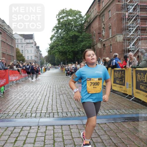 13.09.2026 - Kiel Lauf Yannick Fuchs http://msf.ph/oto/10408550 13.09.2026 09:03:26 Ziel 2528, 5854, 6644, 7020, 7564, 8613, 8616, 8789, 8924, 11931, 1175, 1830, 2178, 2372, 2739, 8013, 11932, 1268, 4445, 6191, 7990, 10123, 1830, 1870, 12052 meine-sportfotos.de