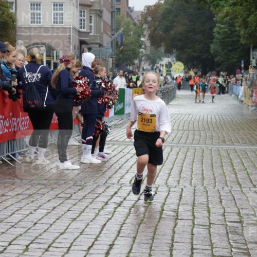 13.09.2026 - Kiel Lauf Yannick Fuchs http://msf.ph/oto/10408569 13.09.2026 09:03:44 Ziel 1268, 7990, 10123, 2372, 2528, 4445, 5854, 6191, 6644, 7020, 7564, 8013, 8613, 8616, 8789, 8924, 11931, 11932, 2193, 2178, 8013, 11932 meine-sportfotos.de